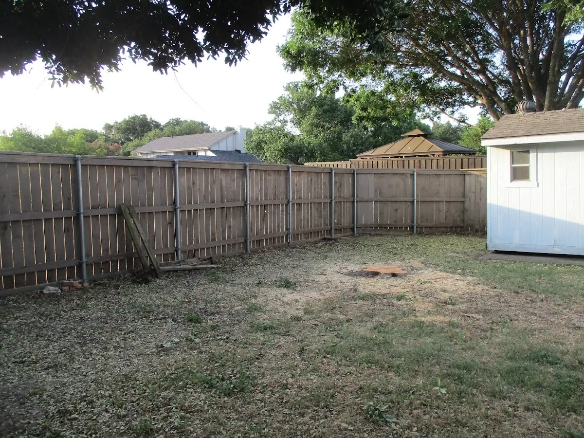Cleared yard after professional tree removal in South Fork